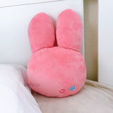 Dwaekki Plush Pillow